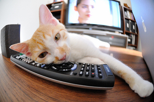 萨卡绝境救主,一场横跨国界与意甲的足球温情破壁