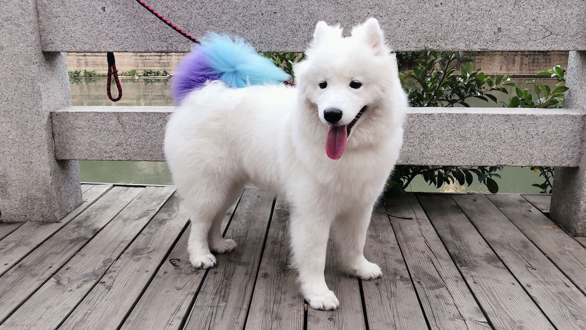 当门墙遇见铁幕,奥纳纳的孤高与芬兰的集体胜利