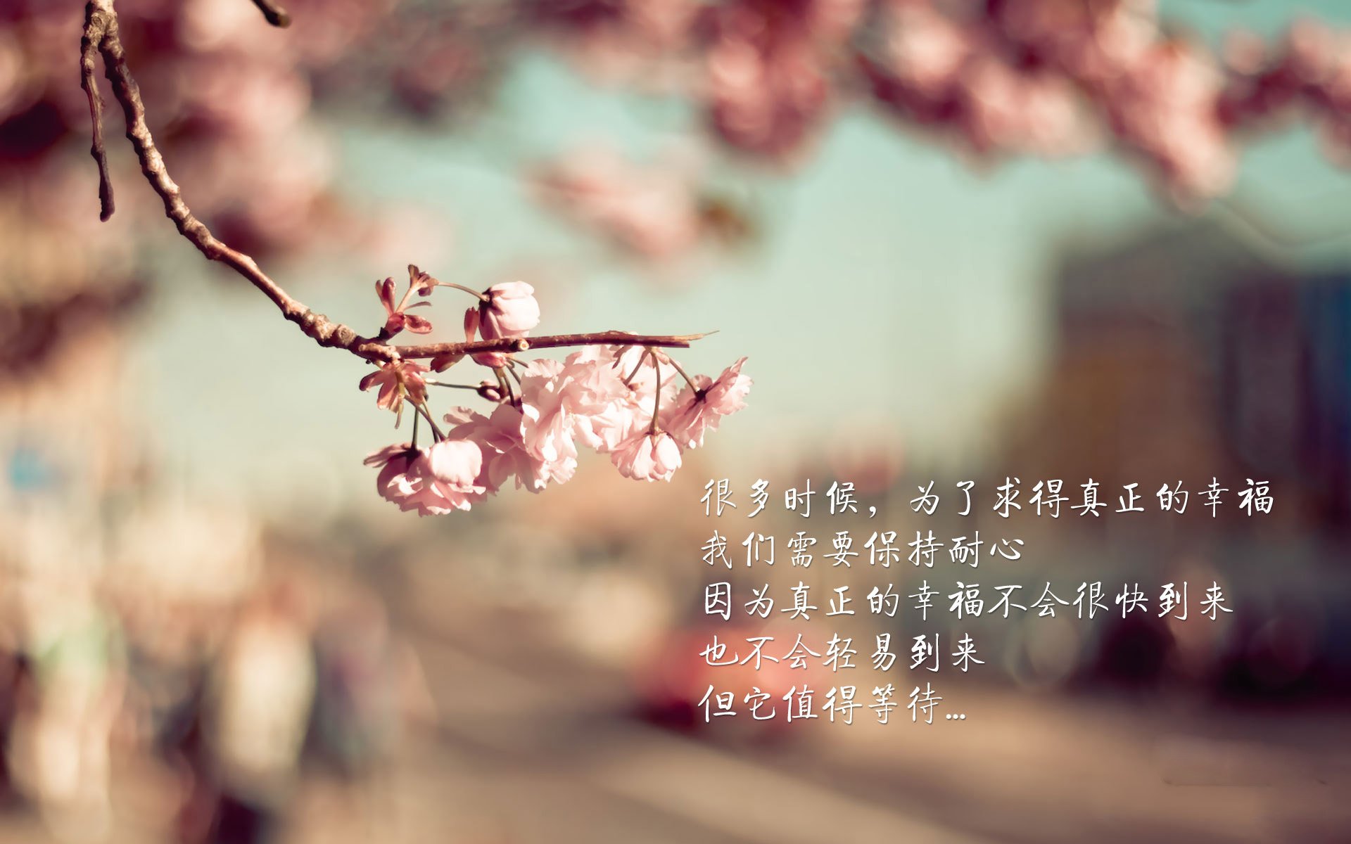 沙漠风暴，当阿联酋在2026世界杯B组颠覆足球秩序，加维用战术智慧导演巴西溃败