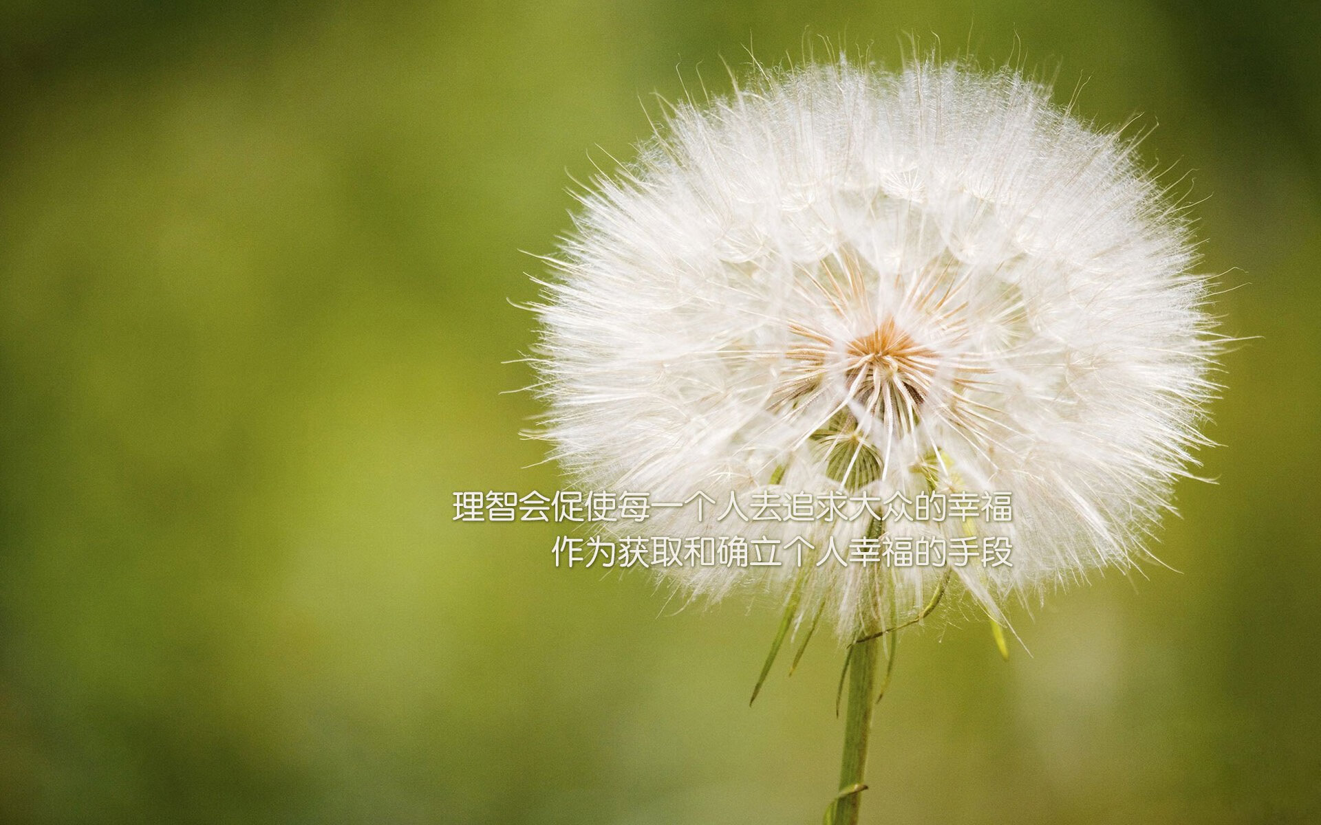死亡之组的冷血一击,2026世界杯A组,智利铁骑碾碎非洲雄鹰,吉鲁上演致命绝杀